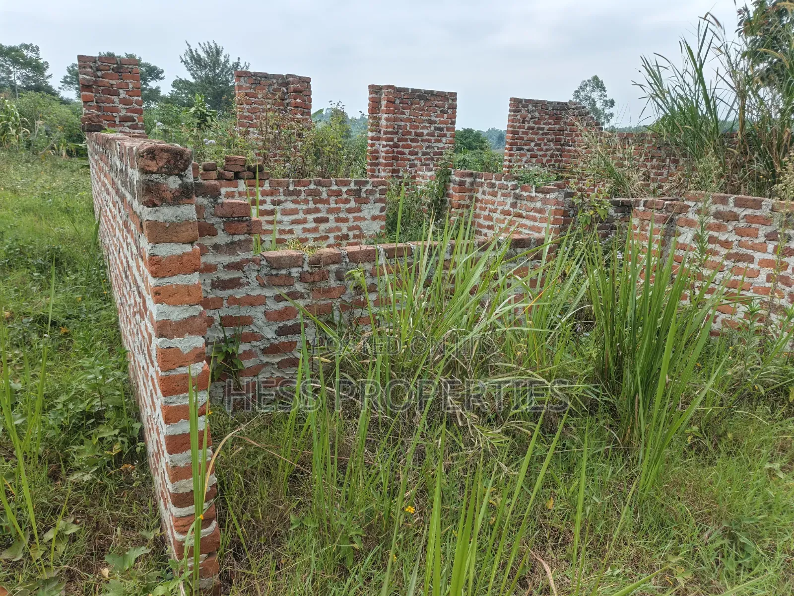 O.5acres of Land on Sale Located in Kasamba- Bugaaki Kyenjojo District in Kyenjojo