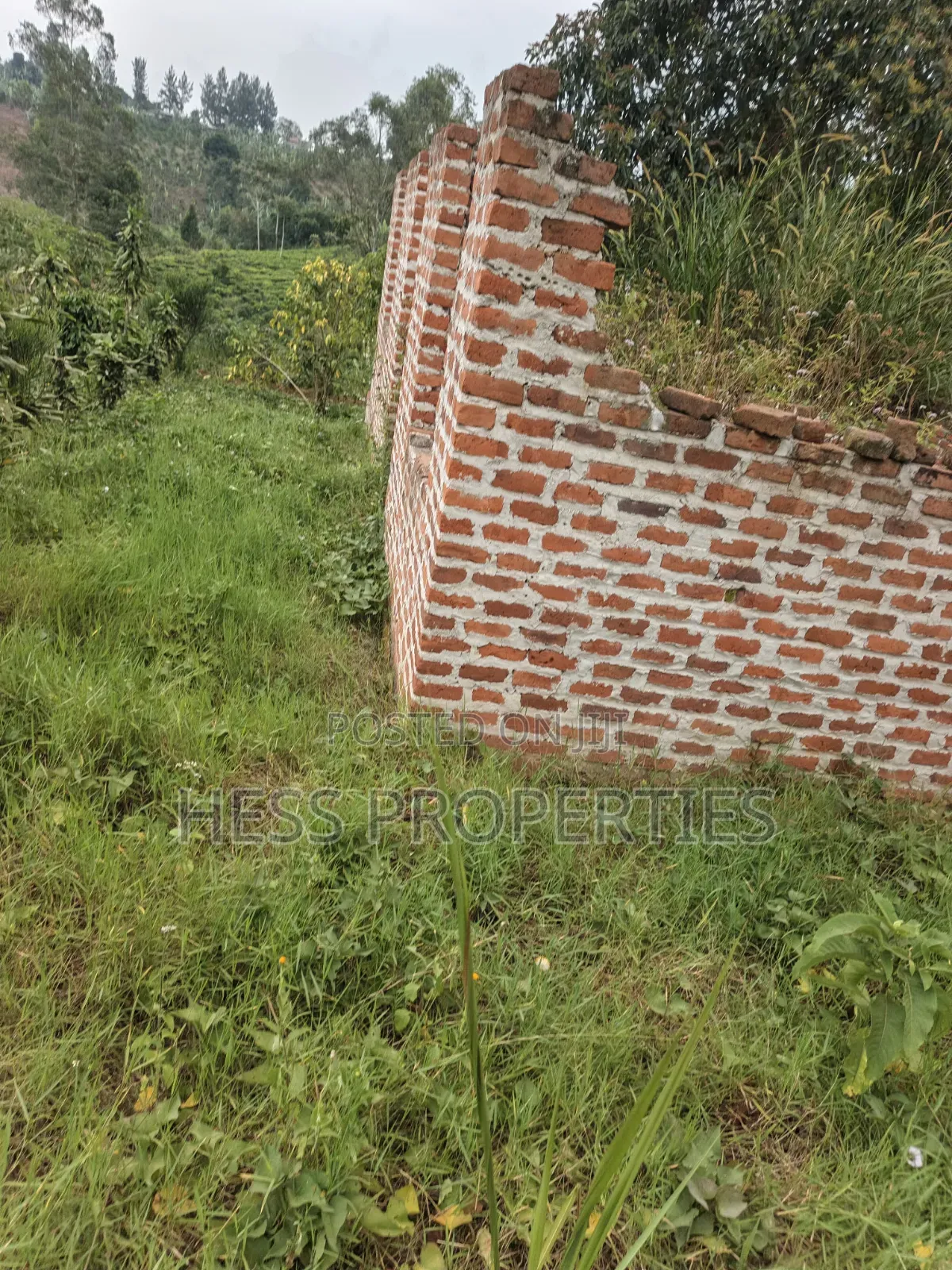O.5acres of Land on Sale Located in Kasamba- Bugaaki Kyenjojo District in Kyenjojo