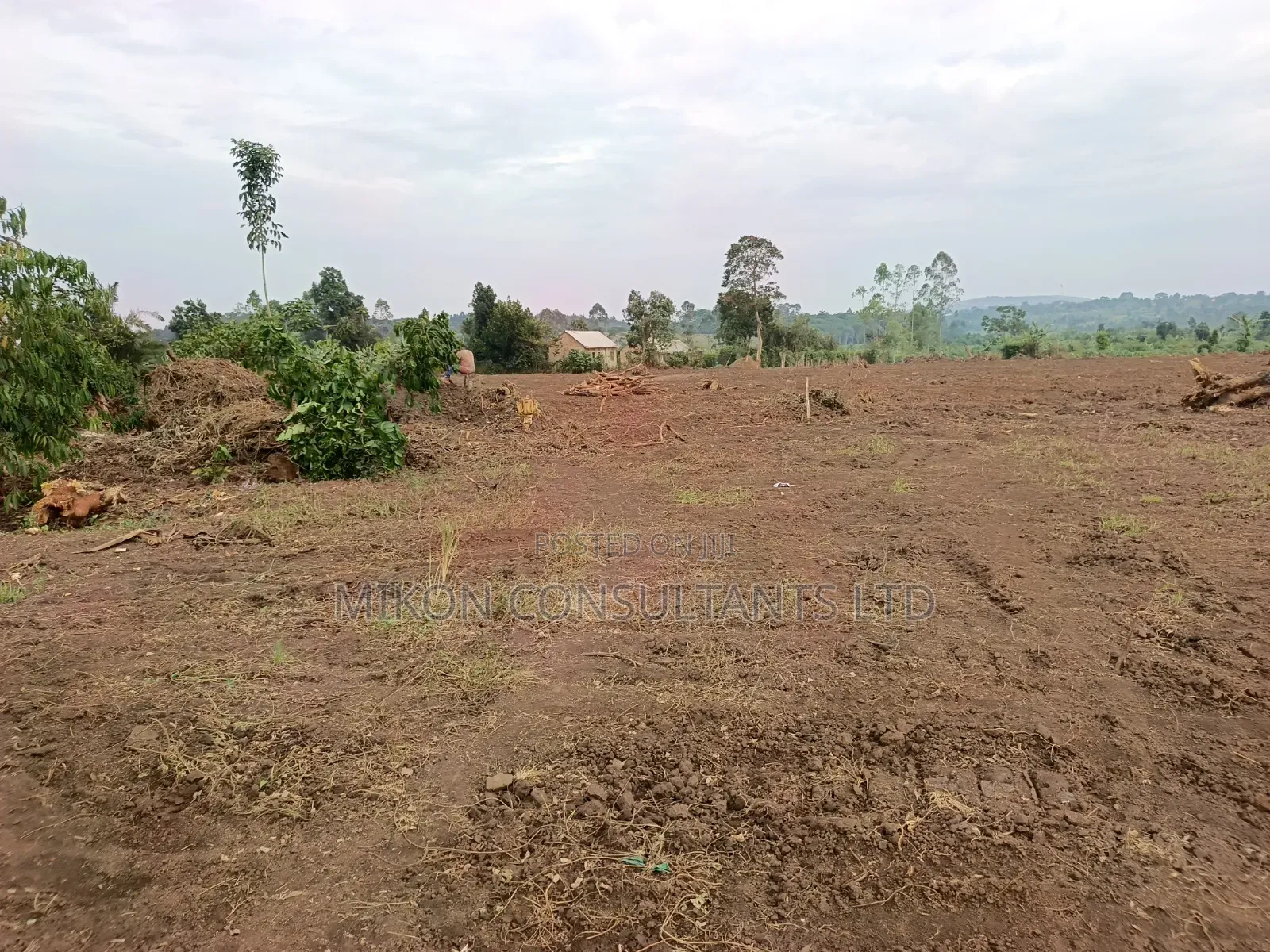 50 by 100 FTS Plots in Matuga Kavule at Only 14m Per Plot in Central Division