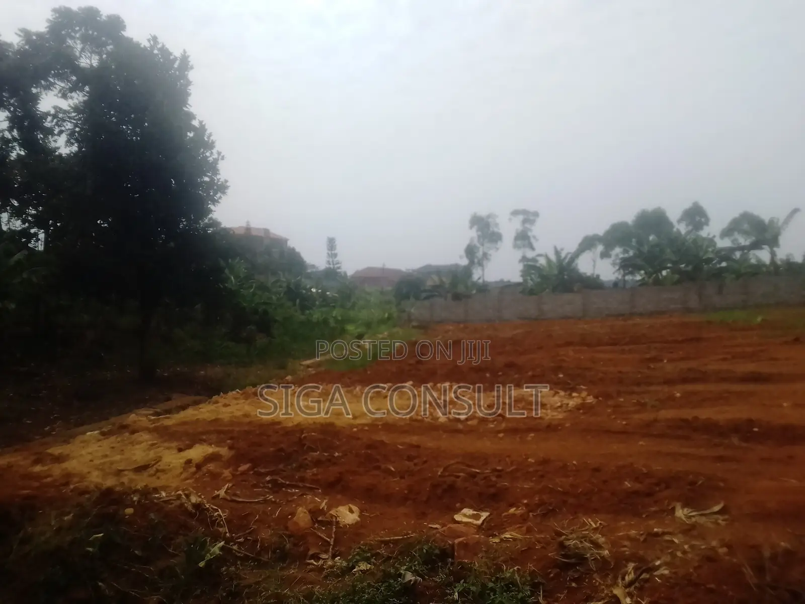 50 Decimal of Residential Titled Land on Sale in Nsawo, Namugongo in Central Division