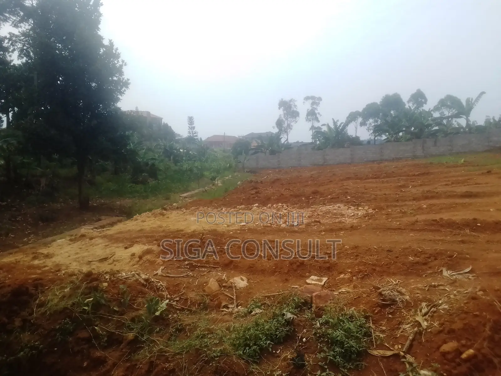 50 Decimal of Residential Titled Land on Sale in Nsawo, Namugongo in Central Division