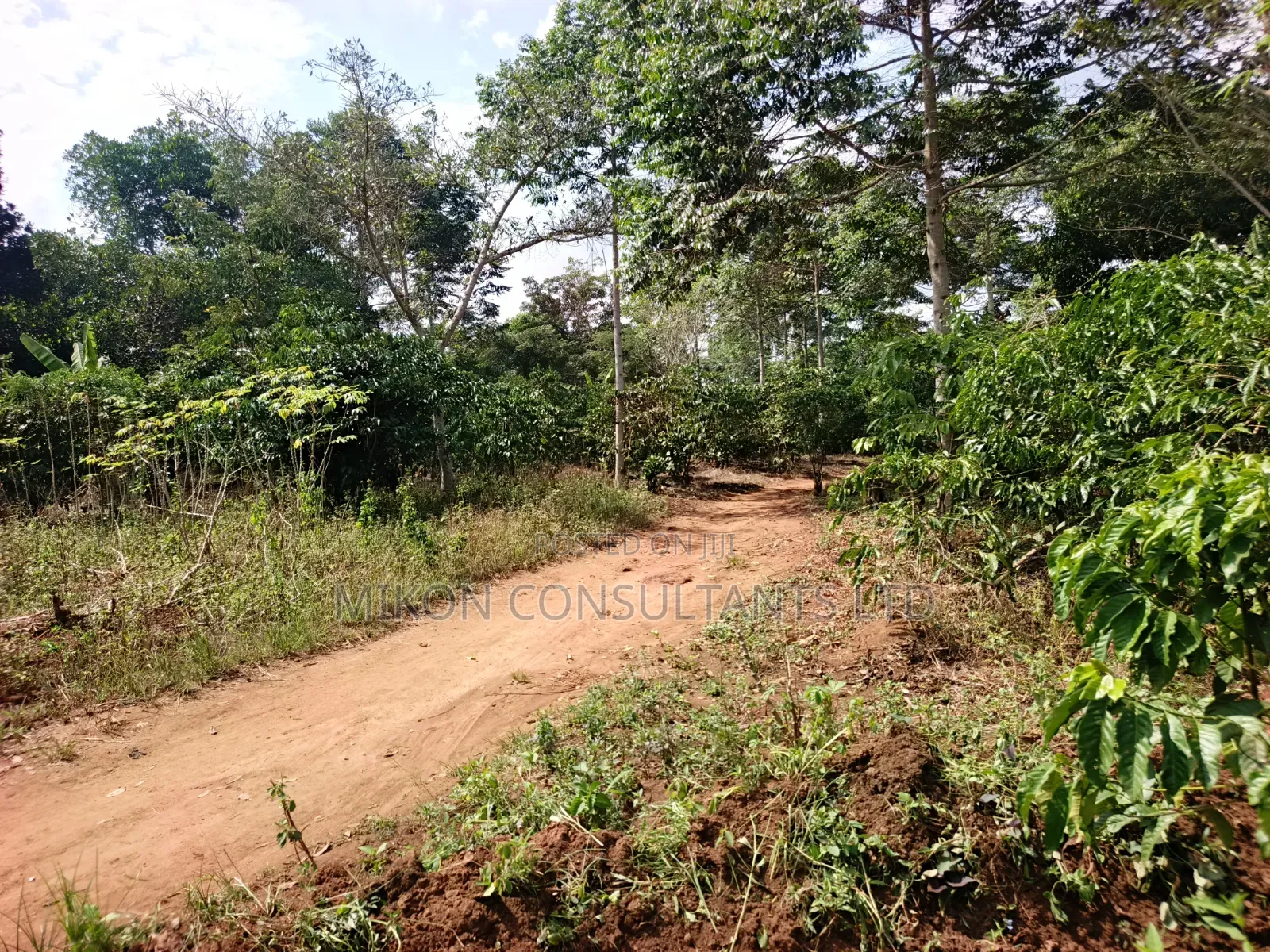 14 Acres in Kikyusa Luwero District at Only 10m Per Acre. in Central Division