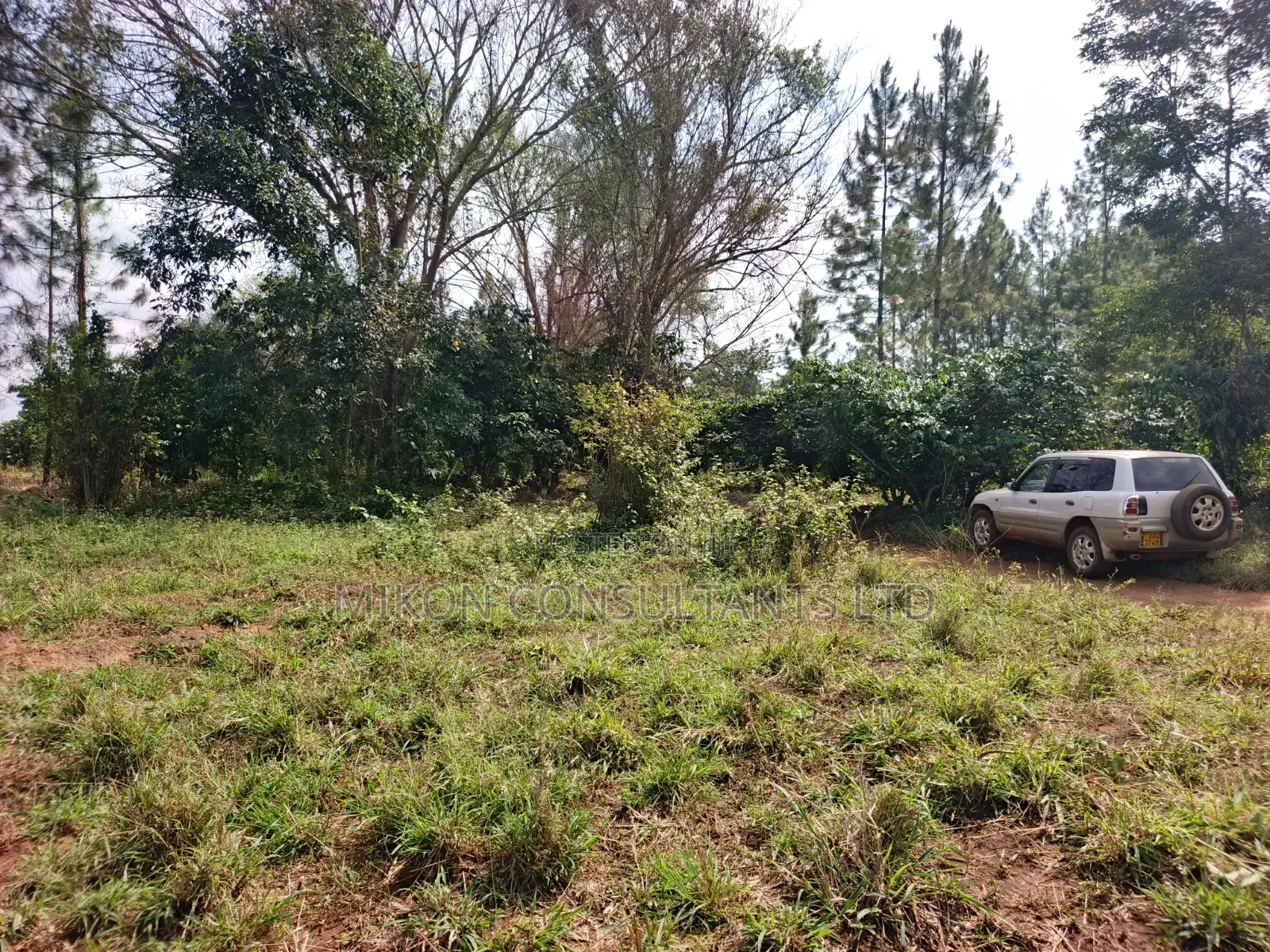 14 Acres in Kikyusa Luwero District at Only 10m Per Acre. in Central Division
