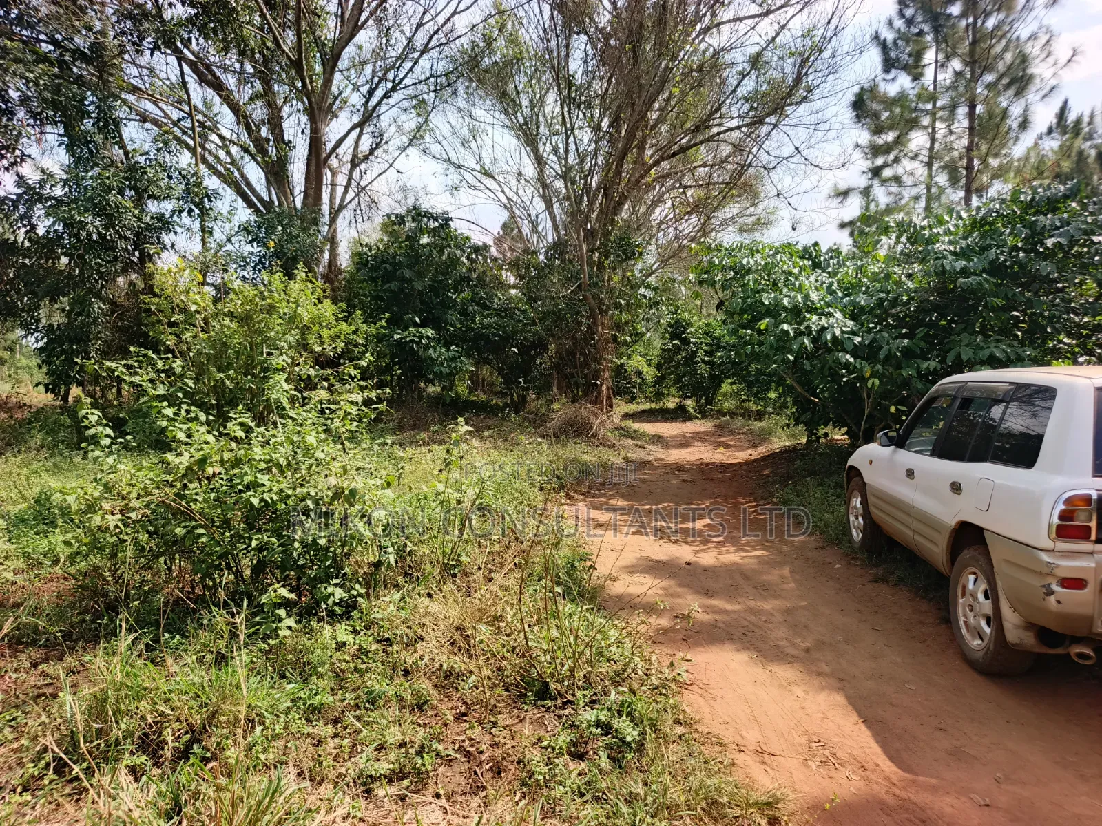 14 Acres in Kikyusa Luwero District at Only 10m Per Acre. in Central Division