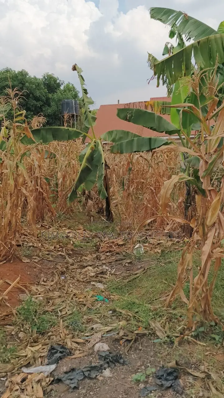 Land for Sale – Namugongo, Nabusugwe Town in Kira