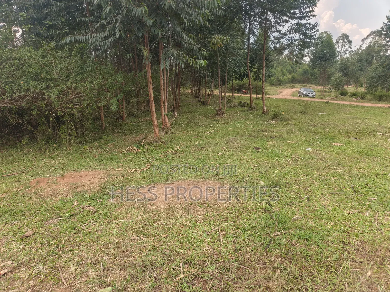 240acres of Land on Sale Located in Kyenjojo- Rweitengye in Kyenjojo