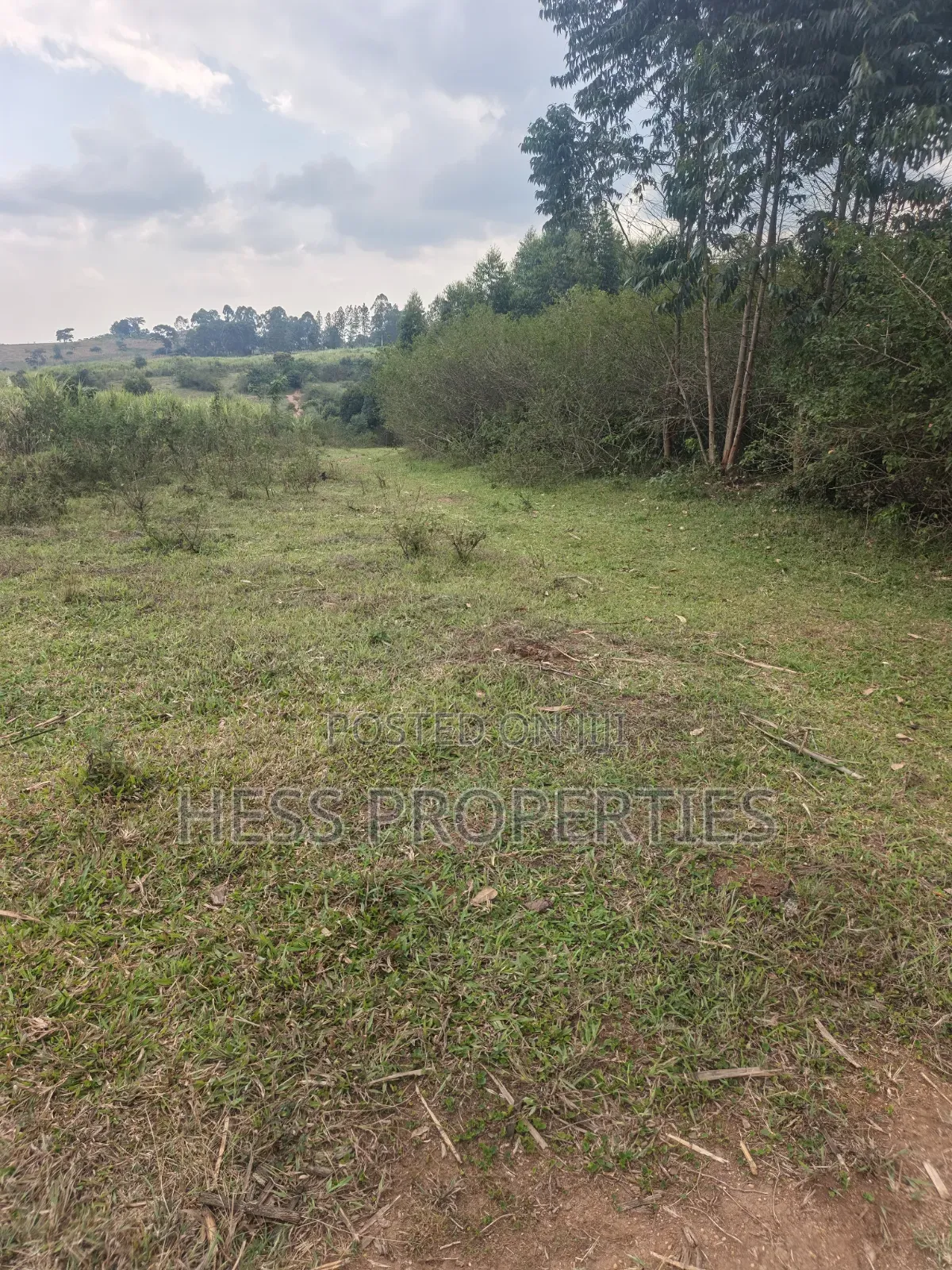 240acres of Land on Sale Located in Kyenjojo- Rweitengye in Kyenjojo