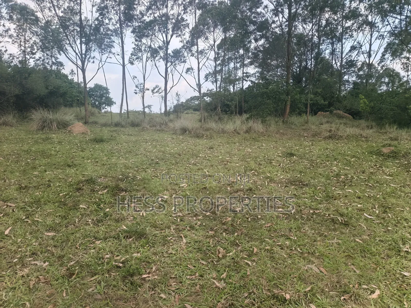 240acres of Land on Sale Located in Kyenjojo- Rweitengye in Kyenjojo
