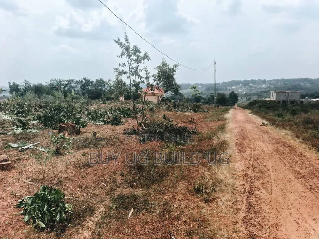 6 Prime Plots for Sale  Located at Gayaza_Dundu Along at 35m in Central Division