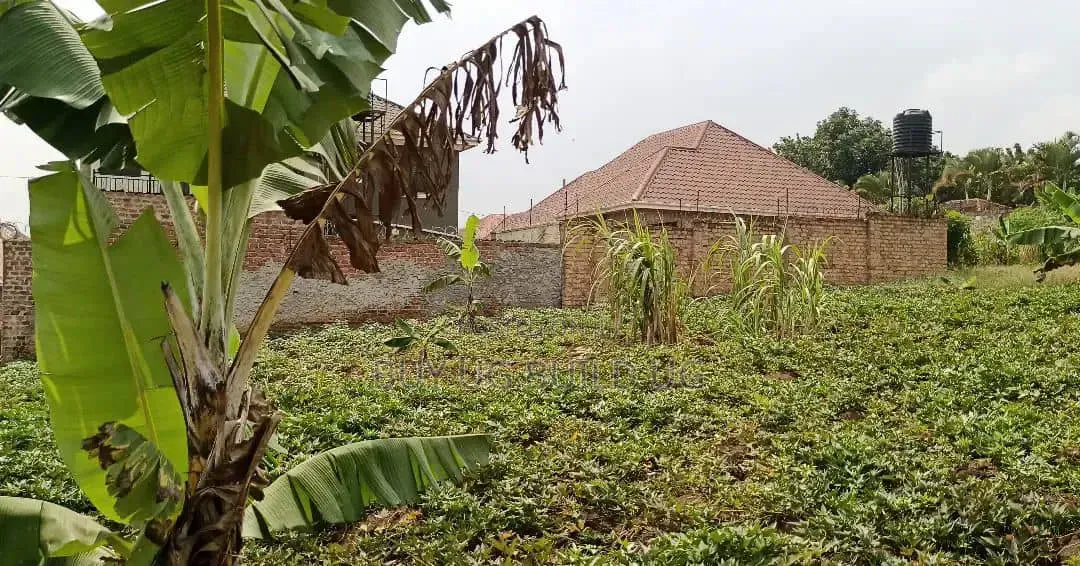 50 Decimals for Sale in Kira at 490m in Central Division