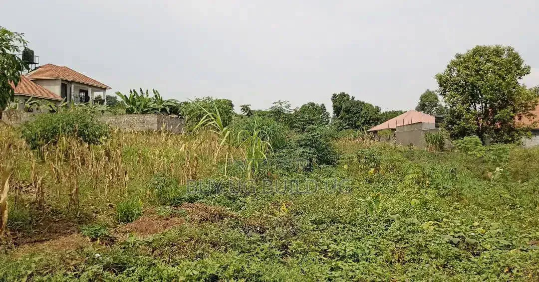 50 Decimals for Sale in Kira at 490m in Central Division