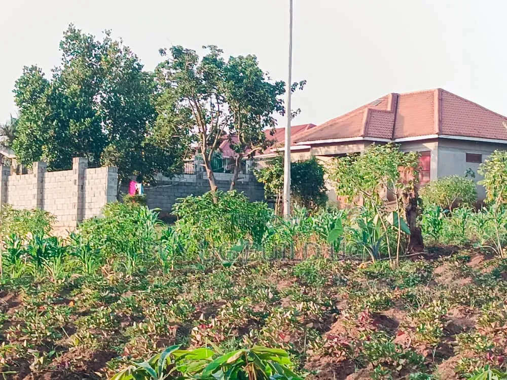 50ft by 100ft for Sale Namugongo- Namwezi Estates UGX 43M in Central Division