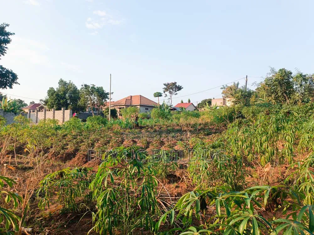 50ft by 100ft for Sale Namugongo- Namwezi Estates UGX 43M in Central Division