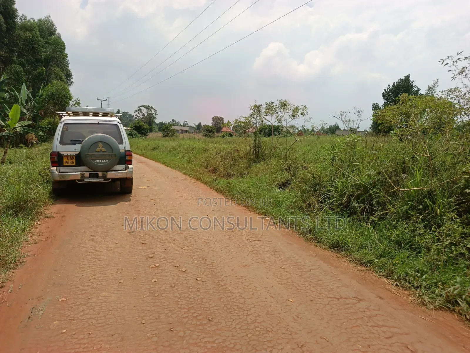 50 by 1pp FTS Plot in Matuga Sanga in Central Division