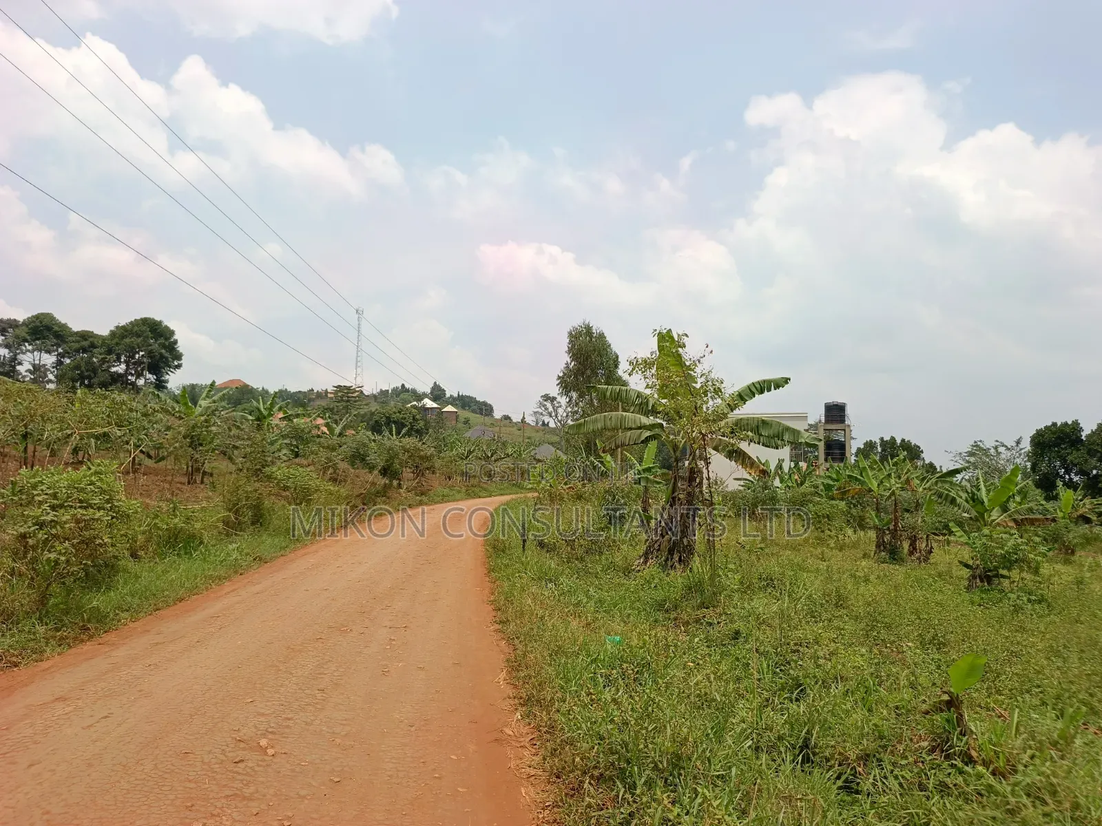 50 by 1pp FTS Plot in Matuga Sanga in Central Division