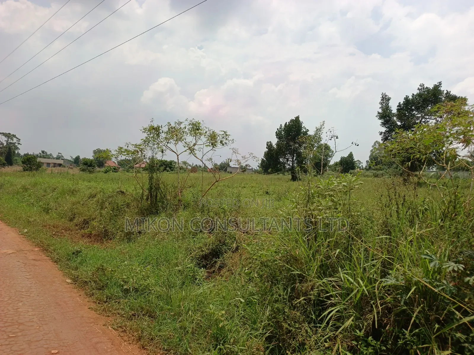 50 by 1pp FTS Plot in Matuga Sanga in Central Division