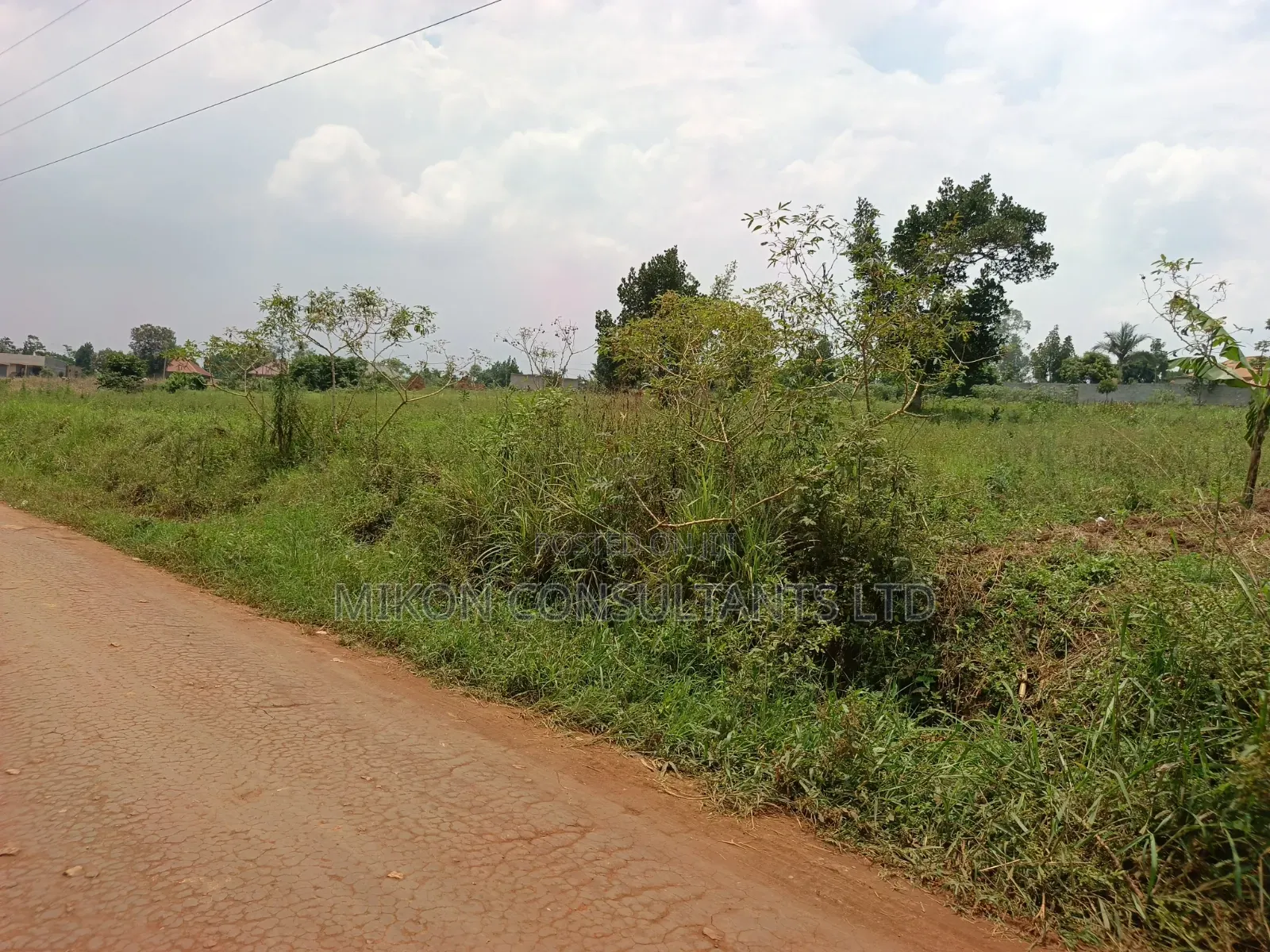 50 by 1pp FTS Plot in Matuga Sanga in Central Division
