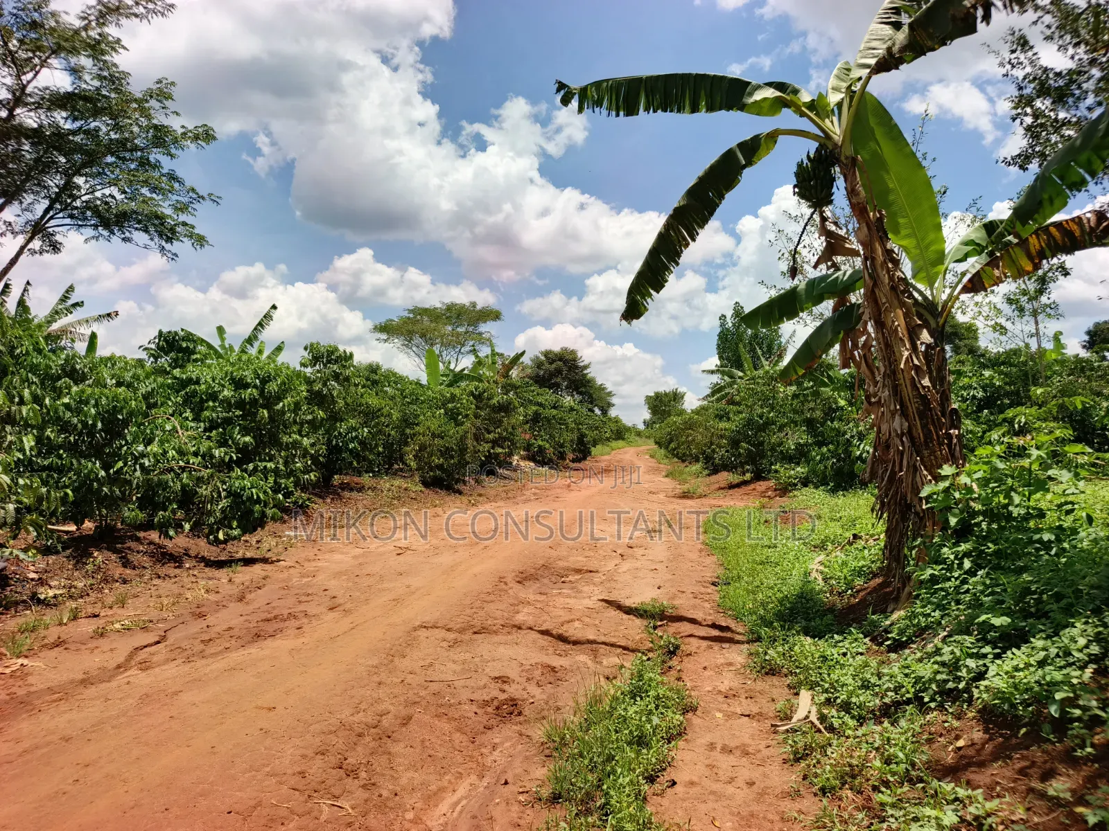 An Acre of Land on Sale in Bamunanika Luwero District in Central Division