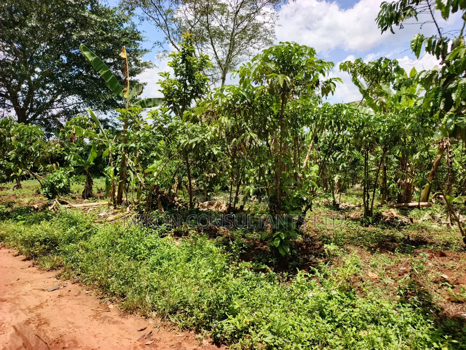 An Acre of Land on Sale in Bamunanika Luwero District in Central Division