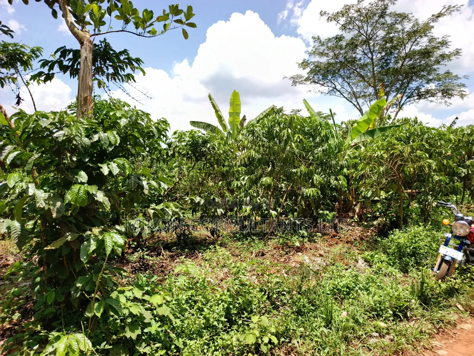 An Acre of Land on Sale in Bamunanika Luwero District in Central Division