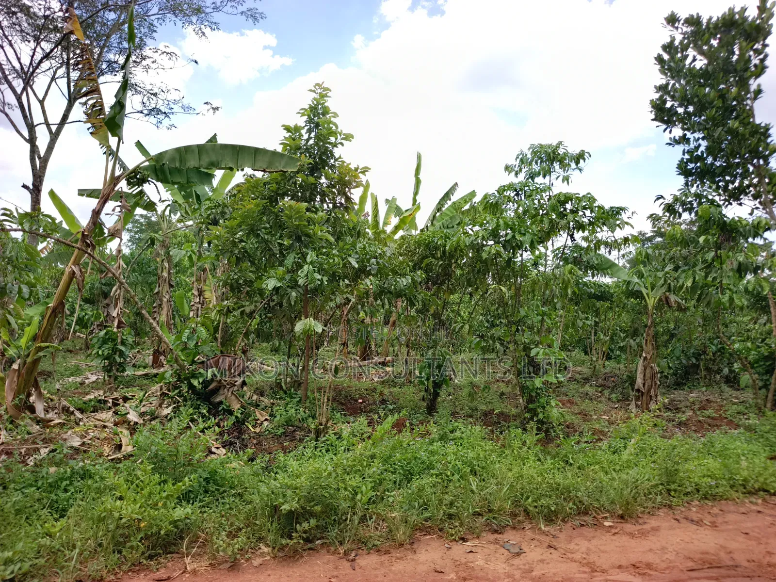 An Acre of Land on Sale in Bamunanika Luwero District in Central Division