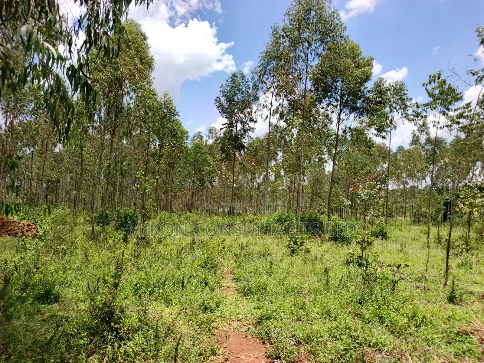 30 Acres in Kimwanyi-Sekamuli Bamunanika on Sale in Central Division