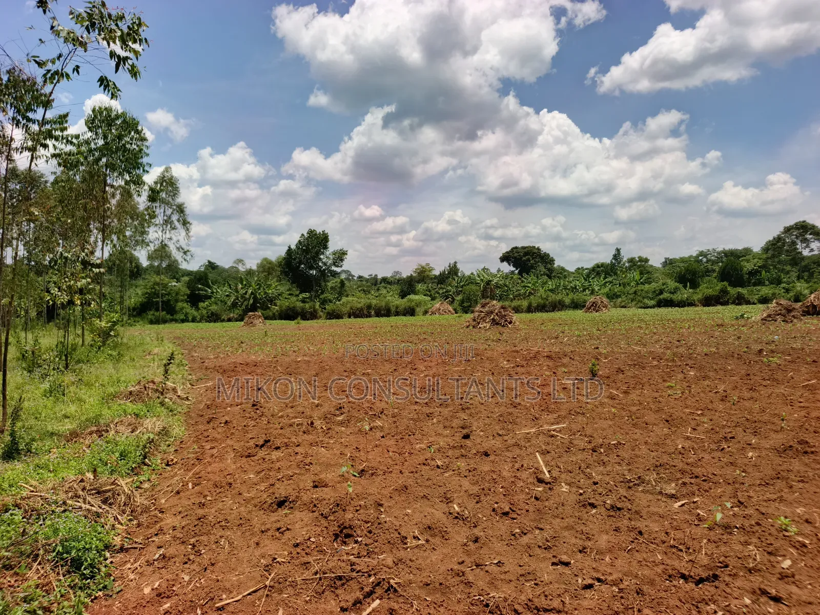 30 Acres in Kimwanyi-Sekamuli Bamunanika on Sale in Central Division