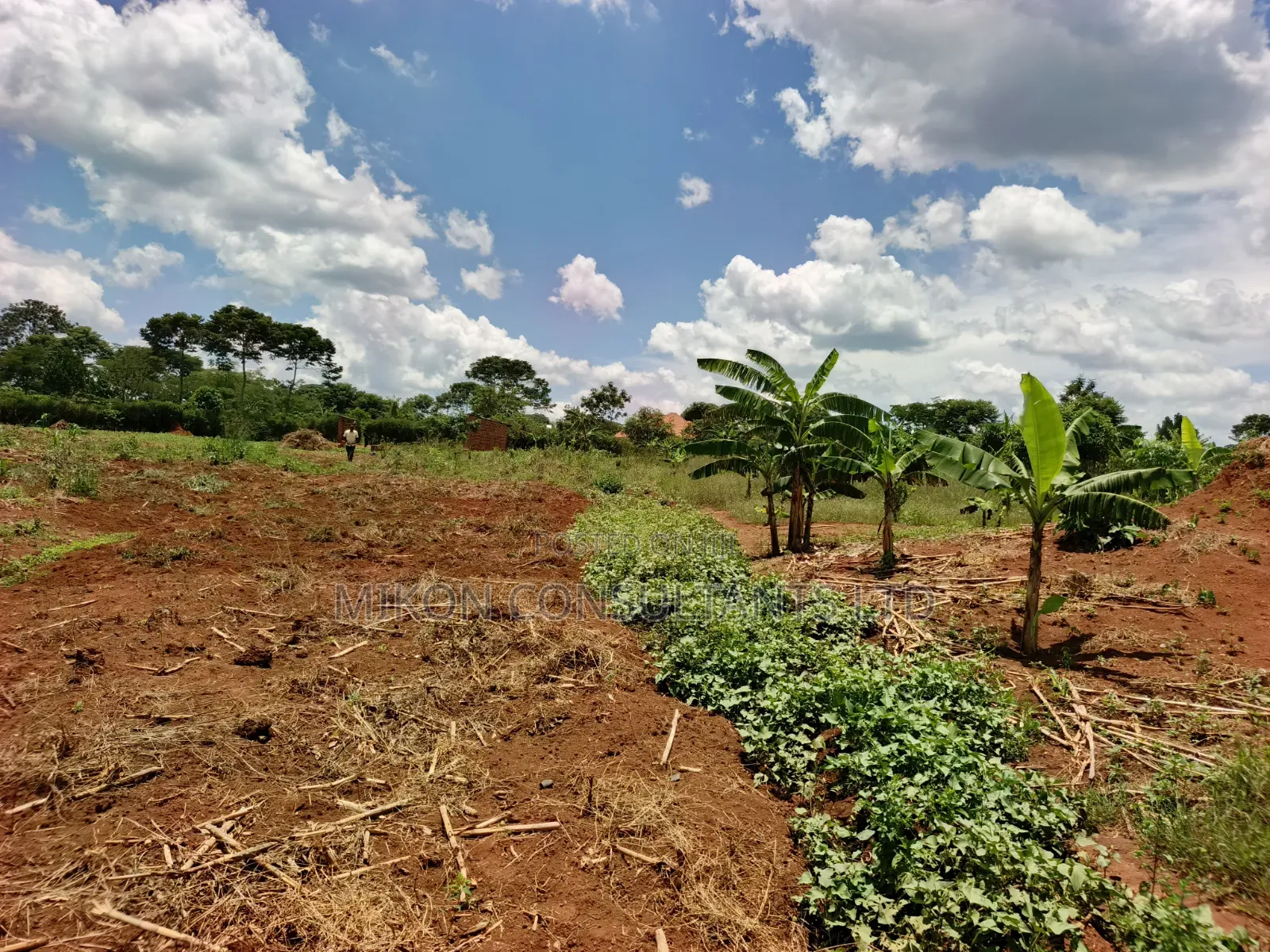 30 Acres in Kimwanyi-Sekamuli Bamunanika on Sale in Central Division