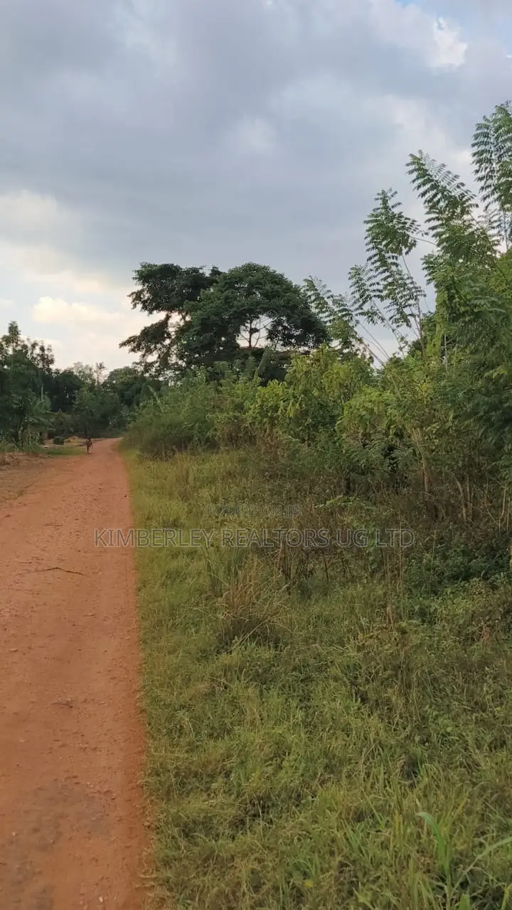 30 Acres Ofland for Sale – Nazigo (Kayunga–jinja Road) in Nazigo