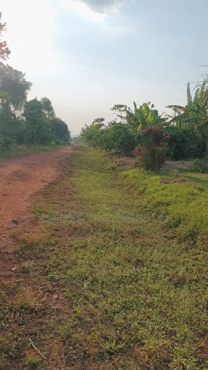 30 Acres Ofland for Sale – Nazigo (Kayunga–jinja Road) in Nazigo