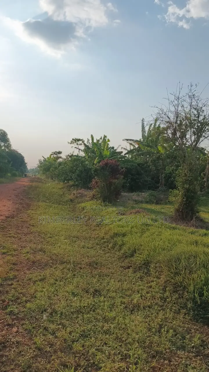 30 Acres Ofland for Sale – Nazigo (Kayunga–jinja Road) in Nazigo