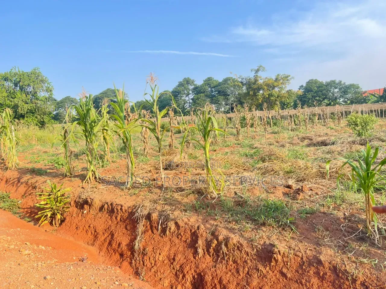 13 Decimals of Land in Bulindo in Kira