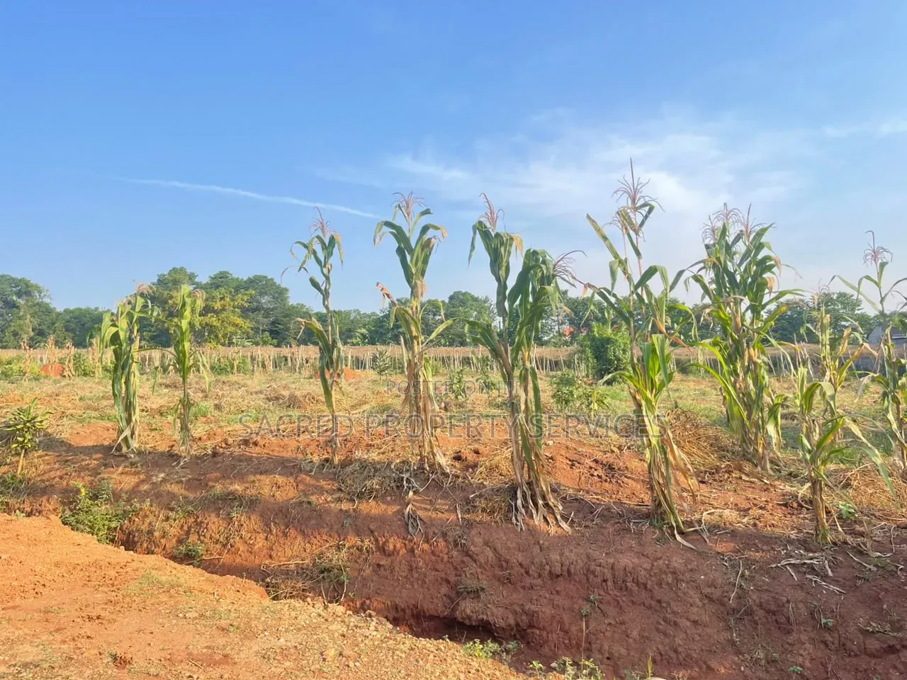 13 Decimals of Land in Bulindo in Kira