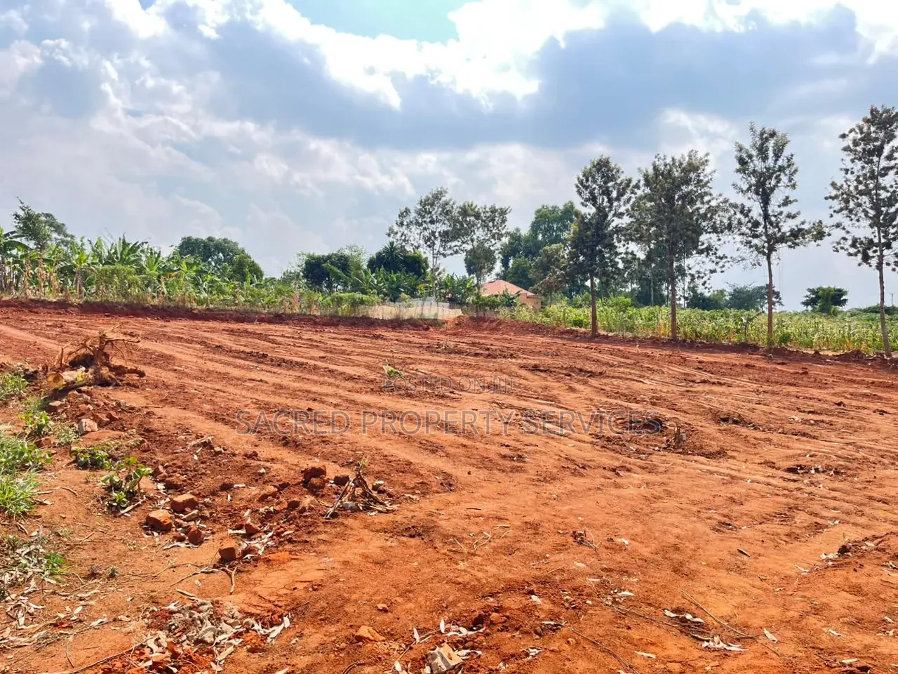 12decimals for Sale in Kira