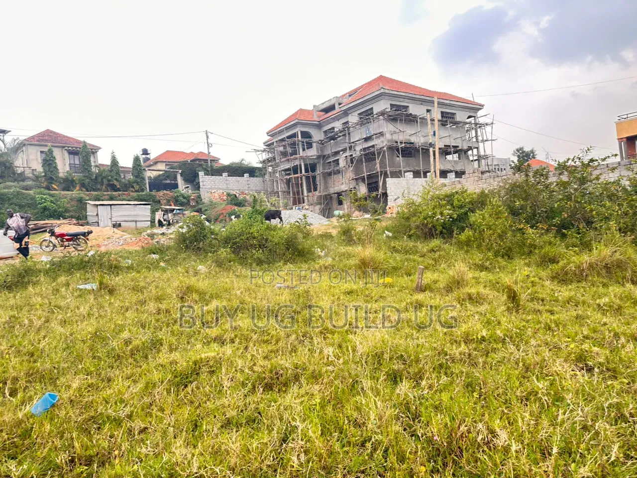 50by100 Kira Mulawa 75m Ready Title in Kira