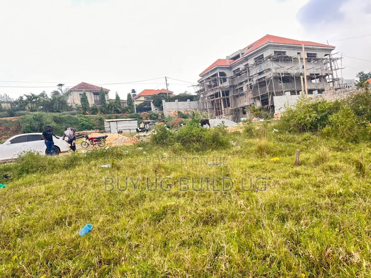 50by100 Kira Mulawa 75m Ready Title in Kira