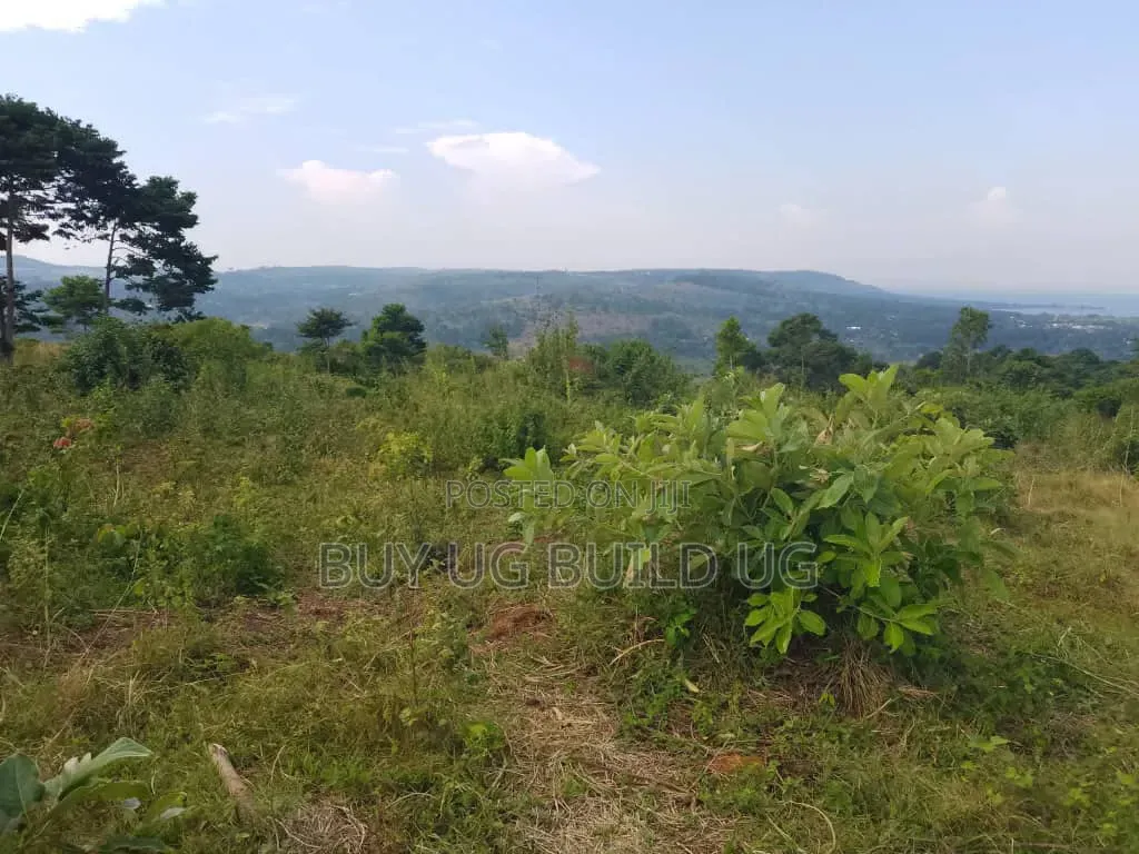 Beautiful 13acres for Sale in Kiyindi_Buikwe at 15million_ugx Per in Mukono TC