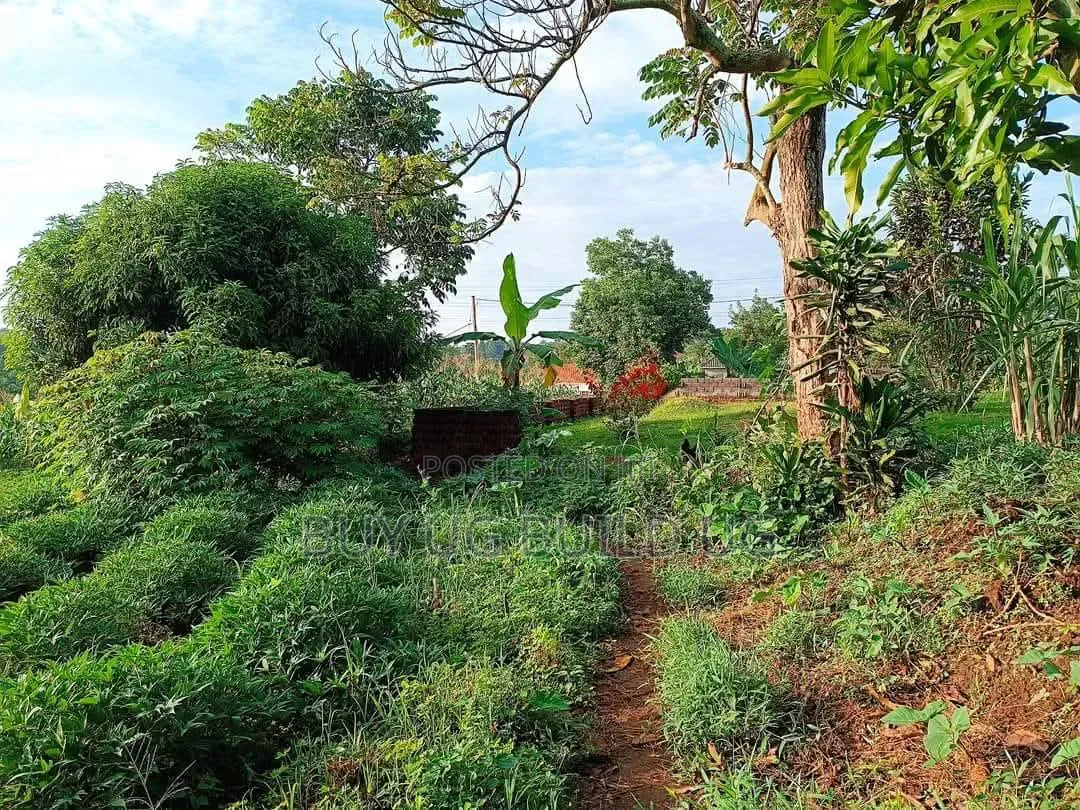 50ft by 100 Ft Plot for Sale in Namugongo Sonde At55m in Central Division