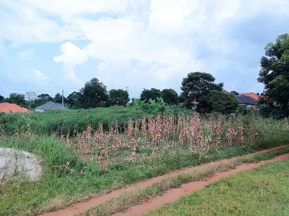 50ft by 100 Ft Plot for Sale in Namugongo Sonde At55m in Central Division