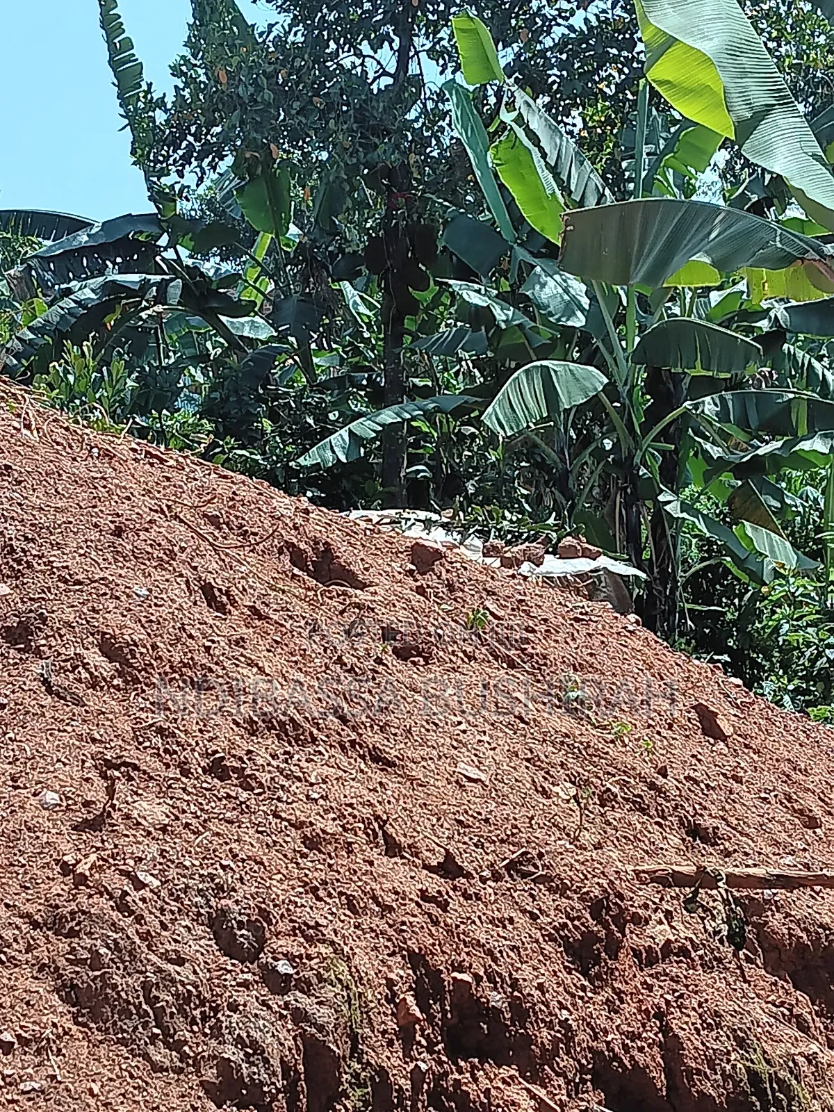 Hot Cake for Sale in Wakiso / Wakiso