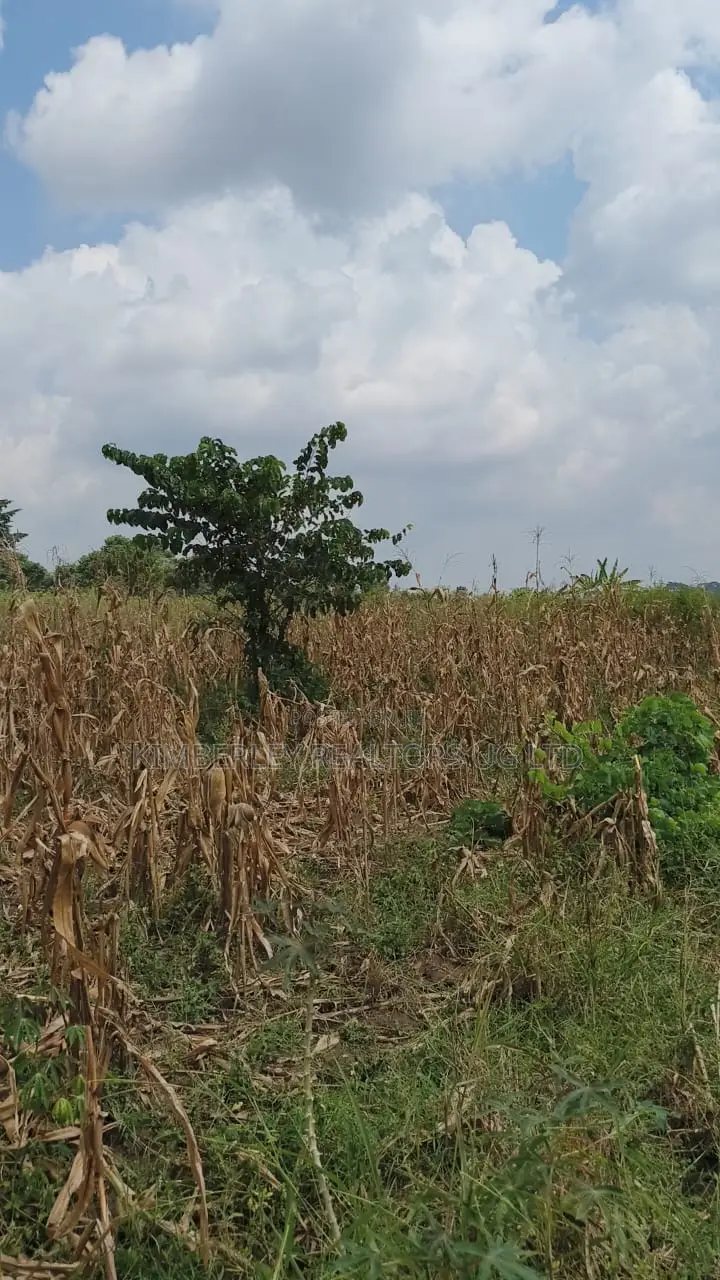 Land for Sale – Nazigo, Kayunga–jinja Road in Nazigo