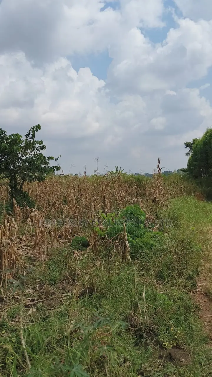 Land for Sale – Nazigo, Kayunga–jinja Road in Nazigo