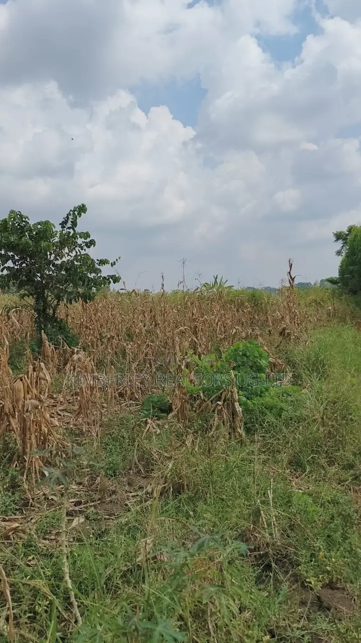 Land for Sale – Nazigo, Kayunga–jinja Road in Nazigo