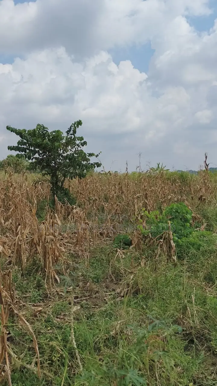 Land for Sale – Nazigo, Kayunga–jinja Road in Nazigo