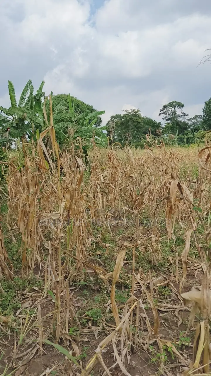 Land for Sale – Nazigo, Kayunga–jinja Road in Nazigo