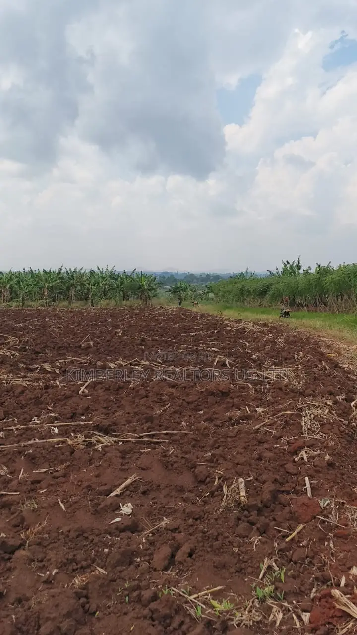 Land for Sale – Bugiri, Kayunga–jinja Road in Kayunga / Kayunga
