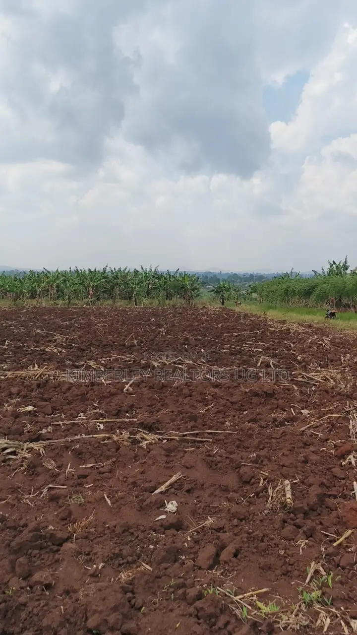 Land for Sale – Bugiri, Kayunga–jinja Road in Kayunga / Kayunga