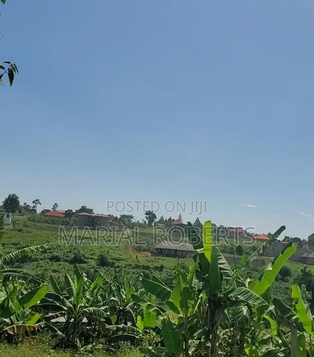 Titled Plots for Sale in Gayaza Busukuma in Busukuma