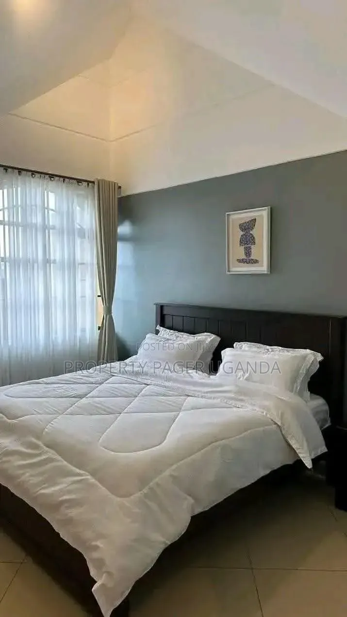 Furnished 1bdrm Apartment in Mbuya, Nakawa for rent in Nakawa