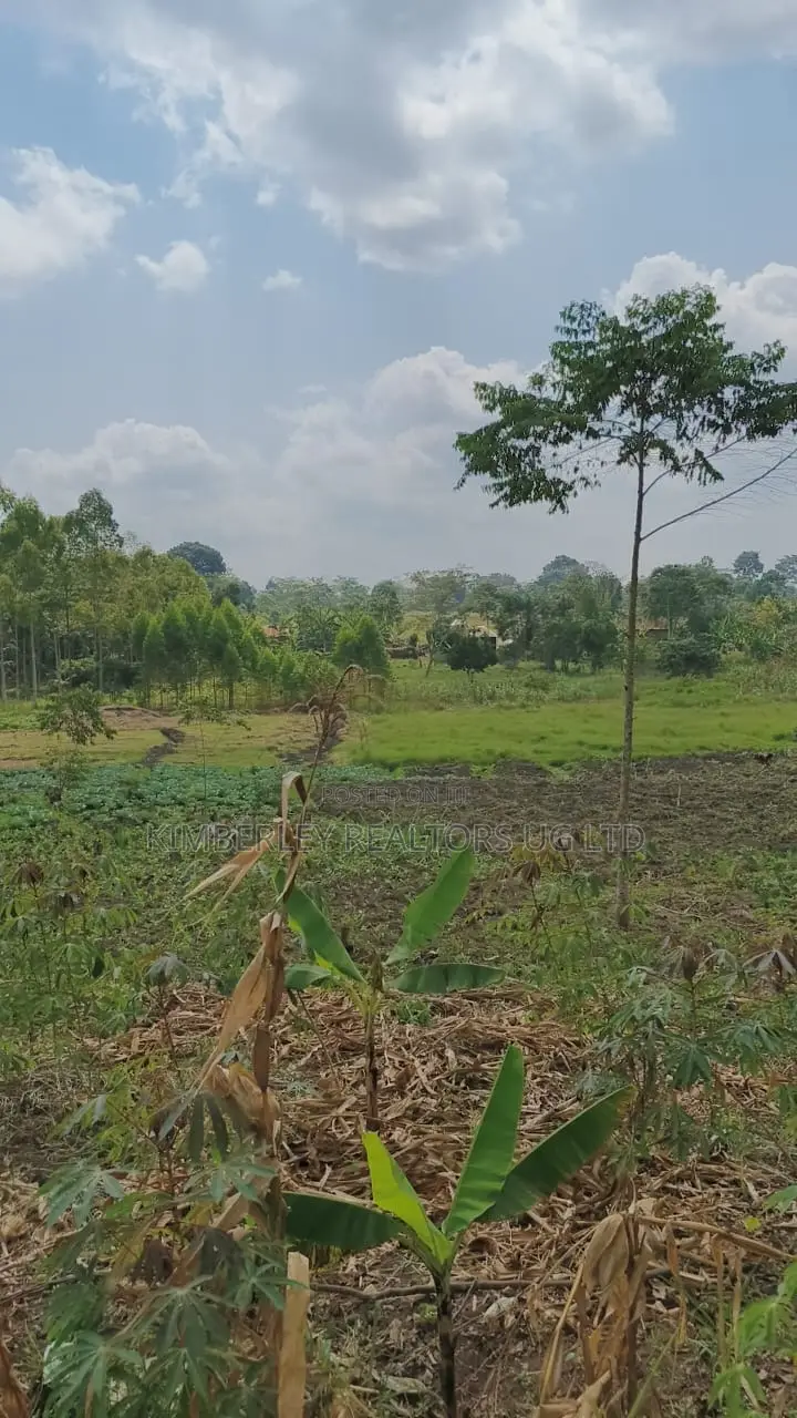 Land for Sale – Nazigo, Kayunga–jinja Road in Nazigo